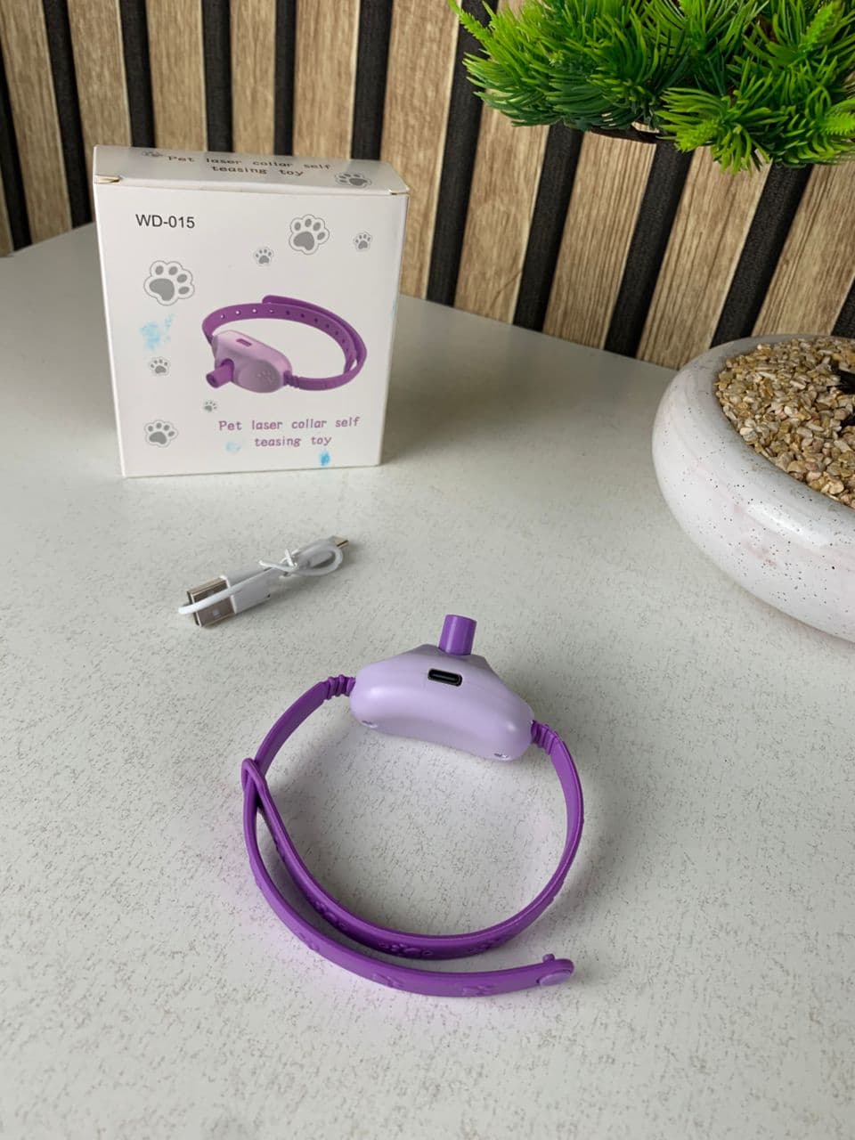 Collier Laser LED un Jouet Interactif pour Chat – سوار ليزر للقطط - Divers - صورة حقيقية 8