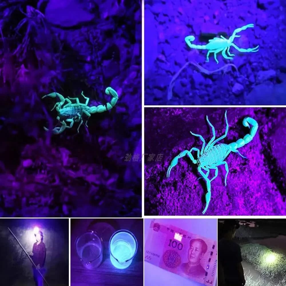 صورة توضيحية 7