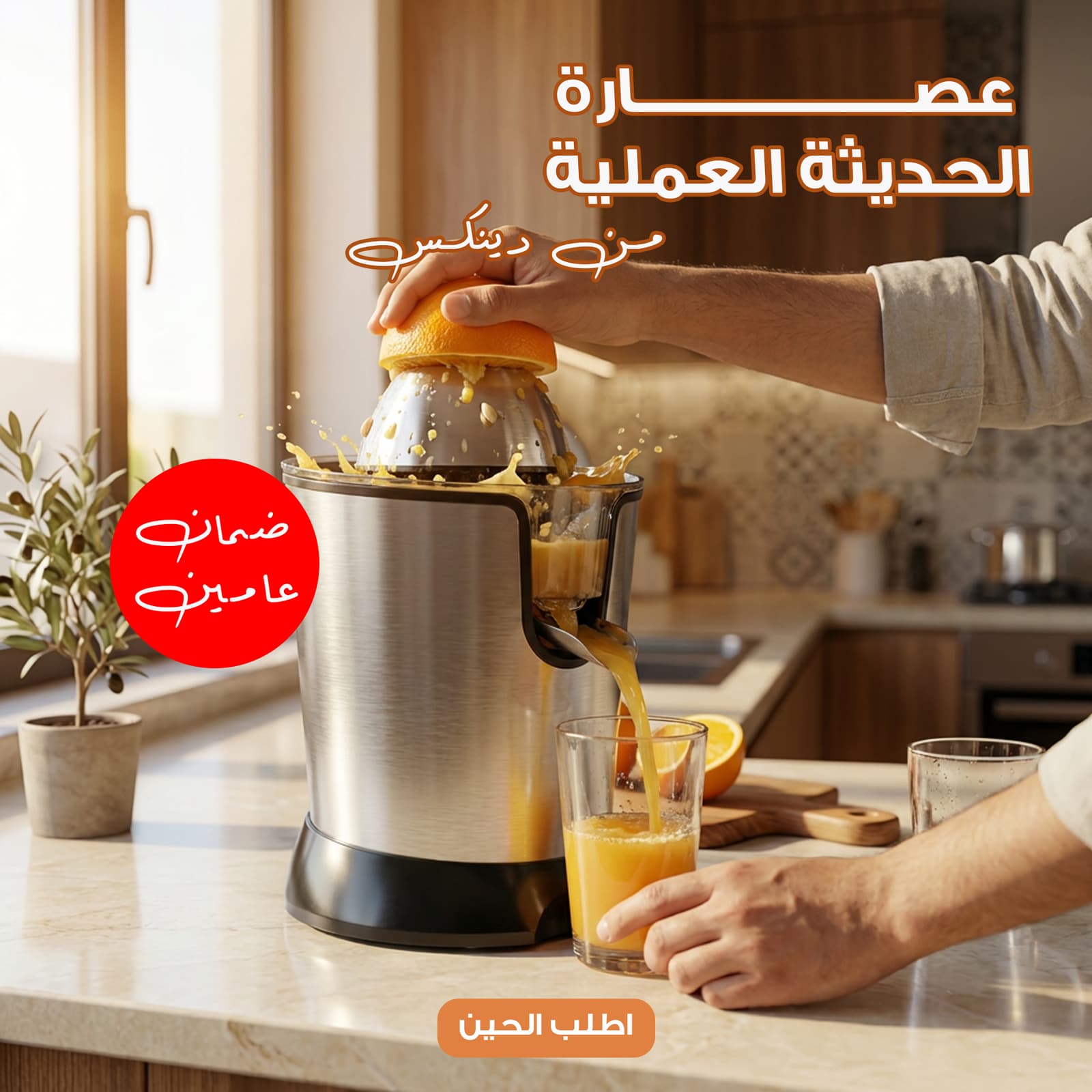 عصارة الحديثة العملية بضمان عامين من دينكس - أجهزة المطبخ - صورة 5