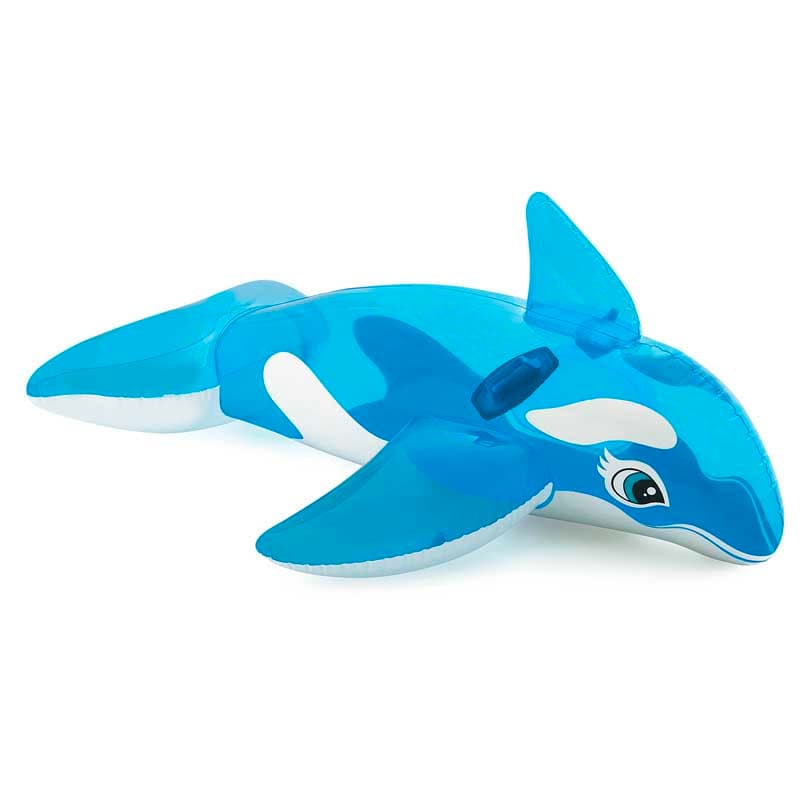 صورة توضيحية 7