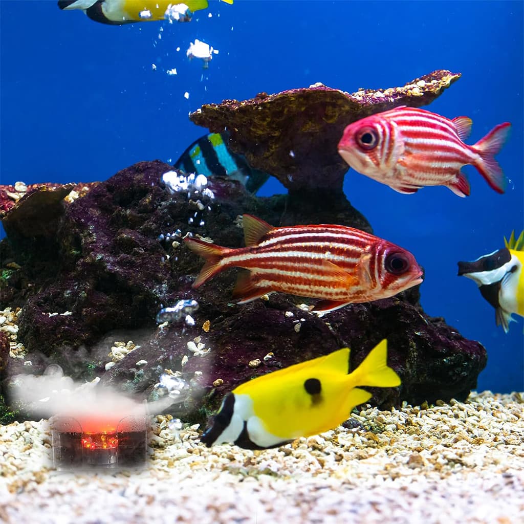 صورة توضيحية 1