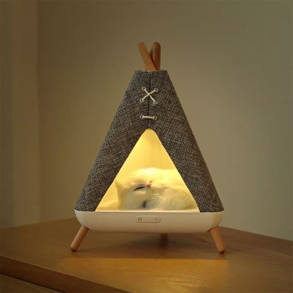 صورة توضيحية 1