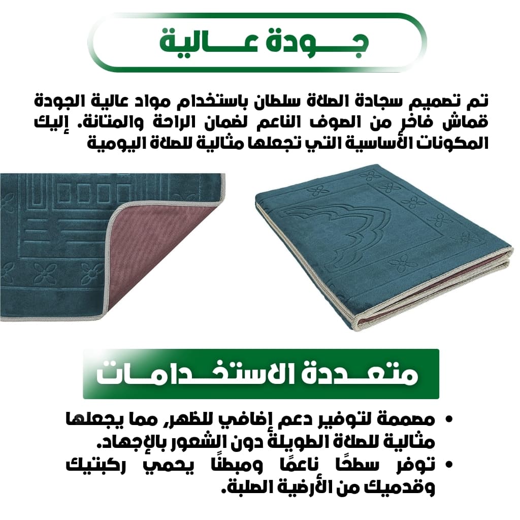 صورة توضيحية 17